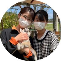 画像1533